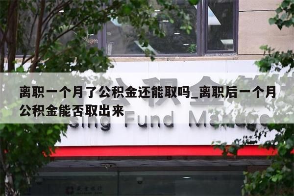 离职一个月了公积金还能取吗_离职后一个月公积金能否取出来